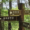 보문산 이미지