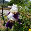 향촌농장 이미지