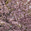 좌1동 대동상가 횡단보도 앞 | 사랑하는 사람들과 맛있는 것을 먹어요