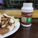 닥터스초이스