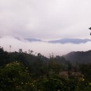 숲속애 휴가 이미지