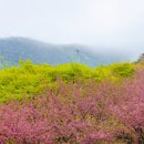 연두목장 이미지