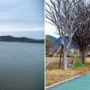 경남 하동 섬진강 Daum카페