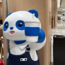산드로현대대구점 | 대구 신세계백화점 6층 리뉴얼 차백도, nooc 등