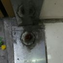 독립문동물병원 이미지