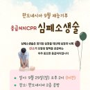 완도네시아 이미지