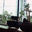 순천만우리밀해물칼국수 이미지