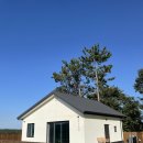 도그프리덤 이미지