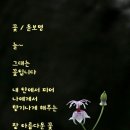 꽃향기 이미지