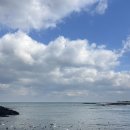 다시청춘민박 | [제주여행] 5박 6일 제주 동쪽으로 다녀 온 태교여행(2)