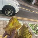 꿀맛붕어빵