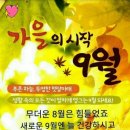 화요일의아침 이미지