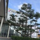 국립무형유산원에 출품 이미지