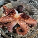 탑축산 이미지