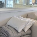 아미고 펜션 이미지