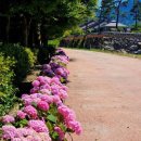 거창-위천-6 이미지