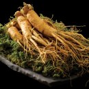 광명인삼 이미지