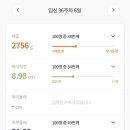 유방5통 이미지