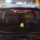 에스엠케미칼(주) 이미지