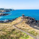 흙과나무의파도소리 이미지