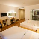 스위트 피피 이미지