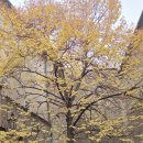 소로3-27 이미지