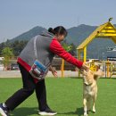 휴개소 | 진영휴게소 반려견쉼터?! 반려견동반 휴게소 진영휴개소 방문후기