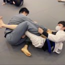 용인대 특전 합기도 이미지