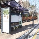 데시앙포레 이미지