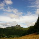 달바위농장 Daum카페