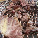 우성토종한우