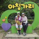 은마차 Daum카페