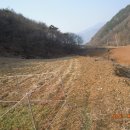 김삿갓면-19 이미지