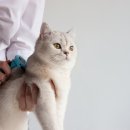 이산동물의료센터 이미지