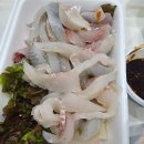 도동포차