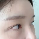 비비아트집 이미지