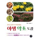 조블리네일