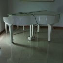 춘천세종관광호텔 이미지