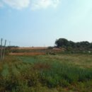 교로1리마을회관 이미지