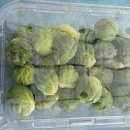 운양농장 이미지