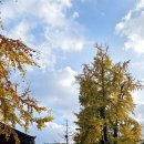 전주향교 이미지