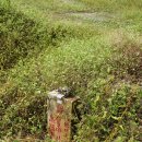 용서농장 이미지