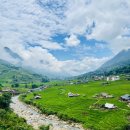 북부시장윗길 | 베트남 SAPA - The City in the Fog 한달살기 생활백서