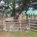 농업회사법인 주식회사 에코팜 이미지