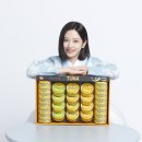 풍성한 이미지
