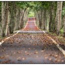 영등포여자고등학교 이미지