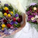 미원초등학교 이미지