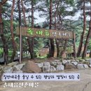 솔내음산촌마을 | 칠연계곡을 즐길 수 있는 평상과 캠핑이 있는 곳 솔내음산촌마을