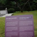탄금공원 (탄금대로 방향) 네이버블로그