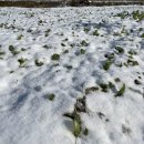 도고원탕 이미지